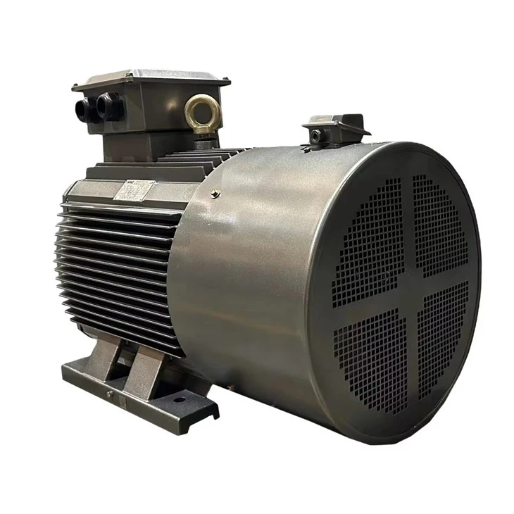 75kW Single Squirrel Cage Induction Motor best